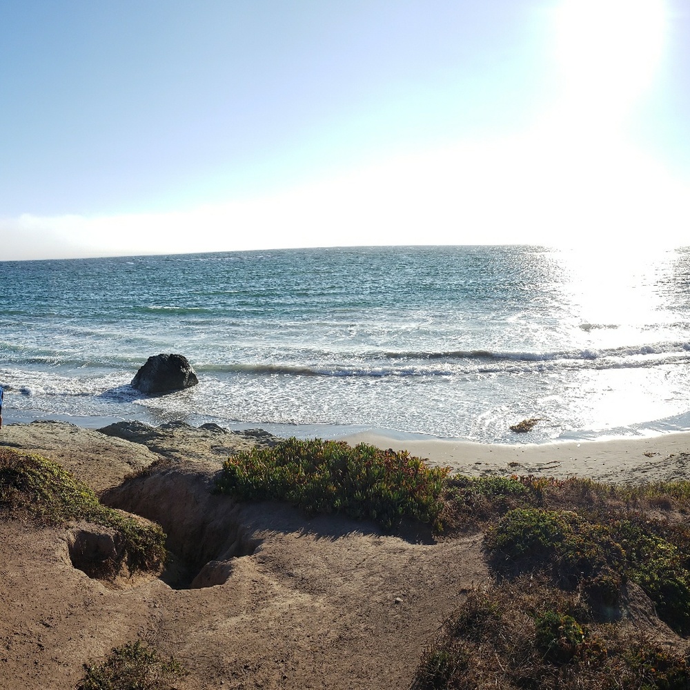 Meet your Posher, Sarhai